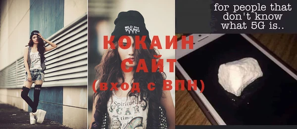 индика Белоозёрский