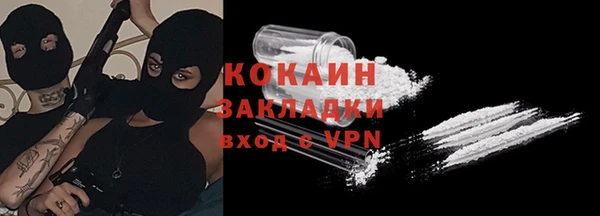 индика Белоозёрский