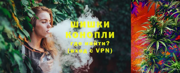 индика Белоозёрский