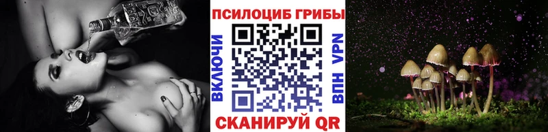 Галлюциногенные грибы ЛСД Трубчевск